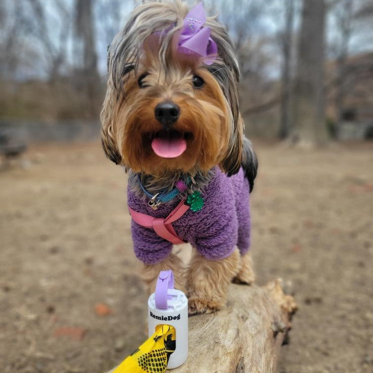 The Metro - Dog Poop Bag Dispenser with a Gauge
