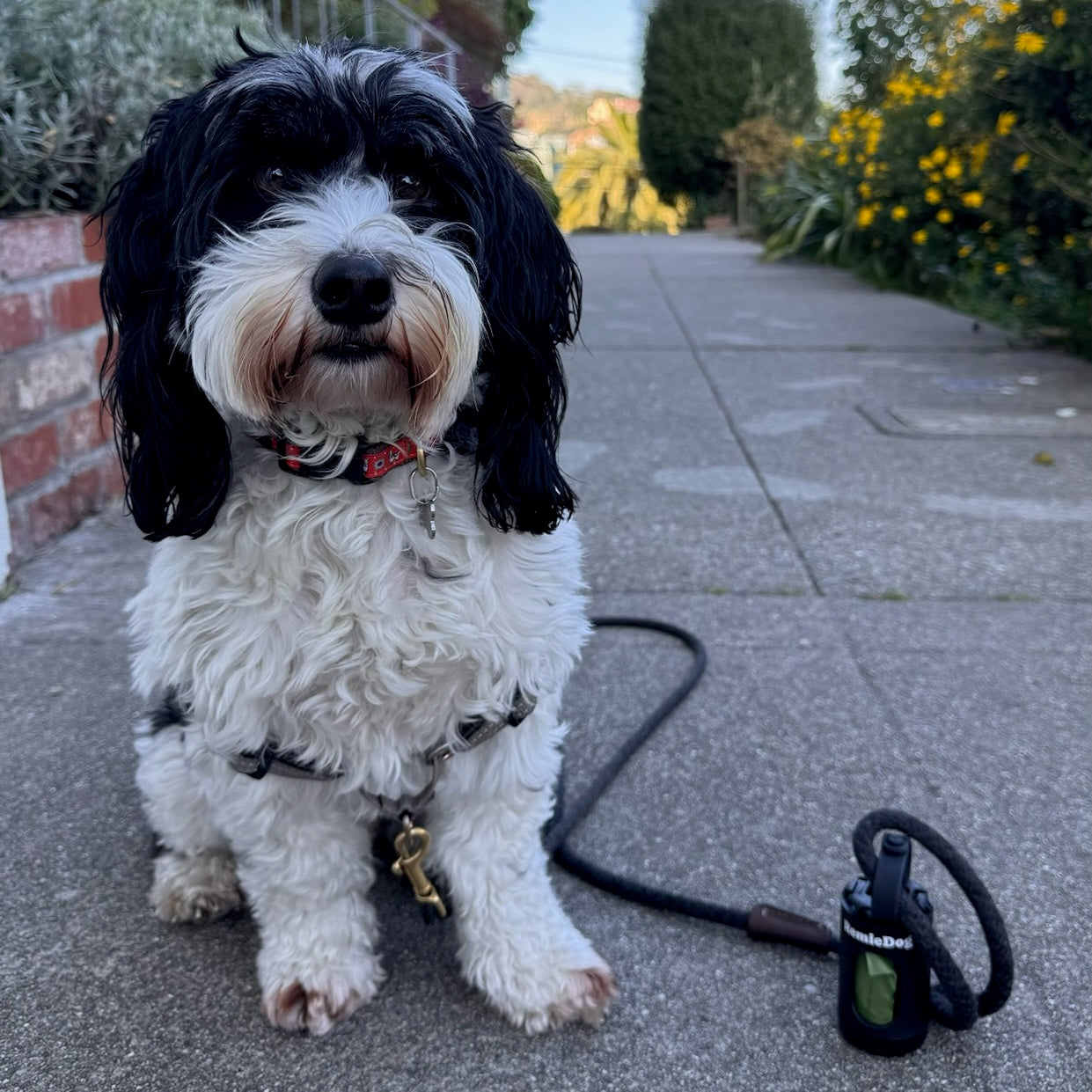 The Metro - Dog Poop Bag Dispenser with a Gauge