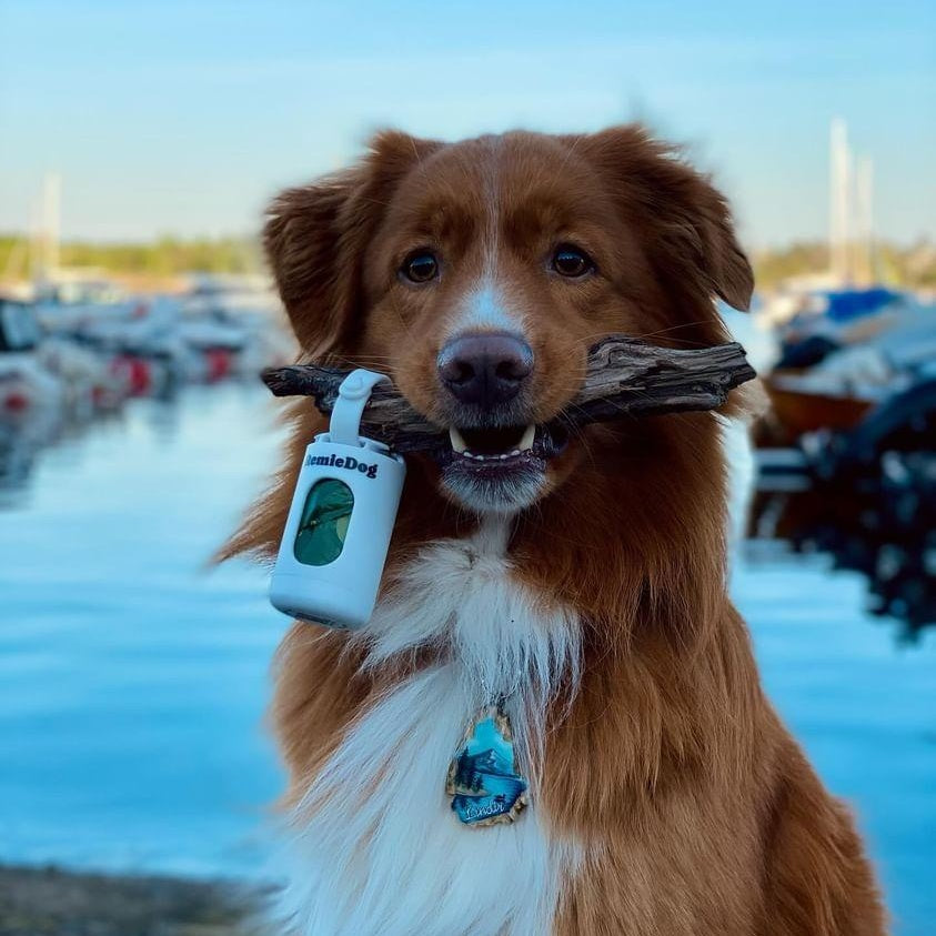 The Metro - Dog Poop Bag Dispenser with a Gauge