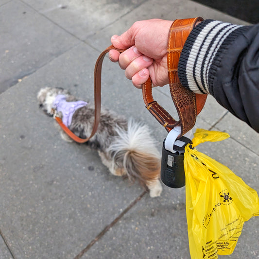 Person holding a dog leash with a small dog on a sidewalk with dog poop bag dispenser and poop bag hanging off leash
