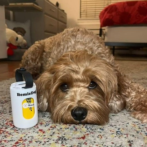 The Metro - Dog Poop Bag Dispenser with a Gauge