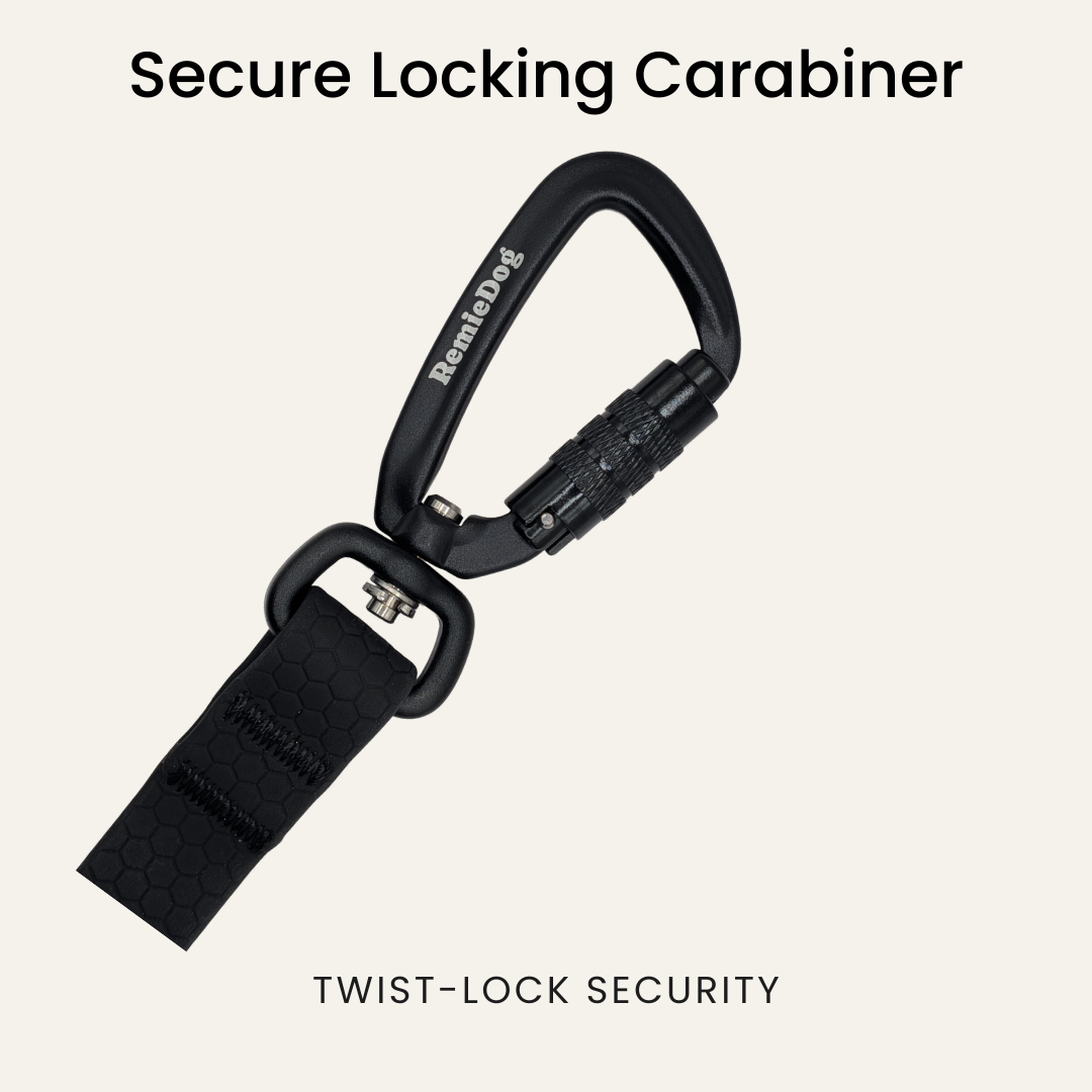 Black secure locking carabiner with strap on a white background for Remiedog