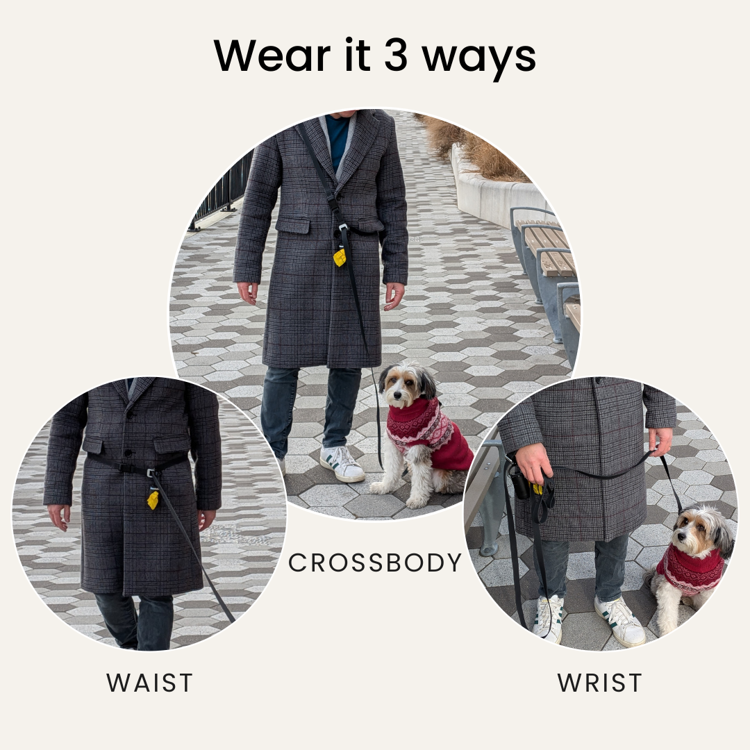 Sutton Slide Hands-Free Dog Leash