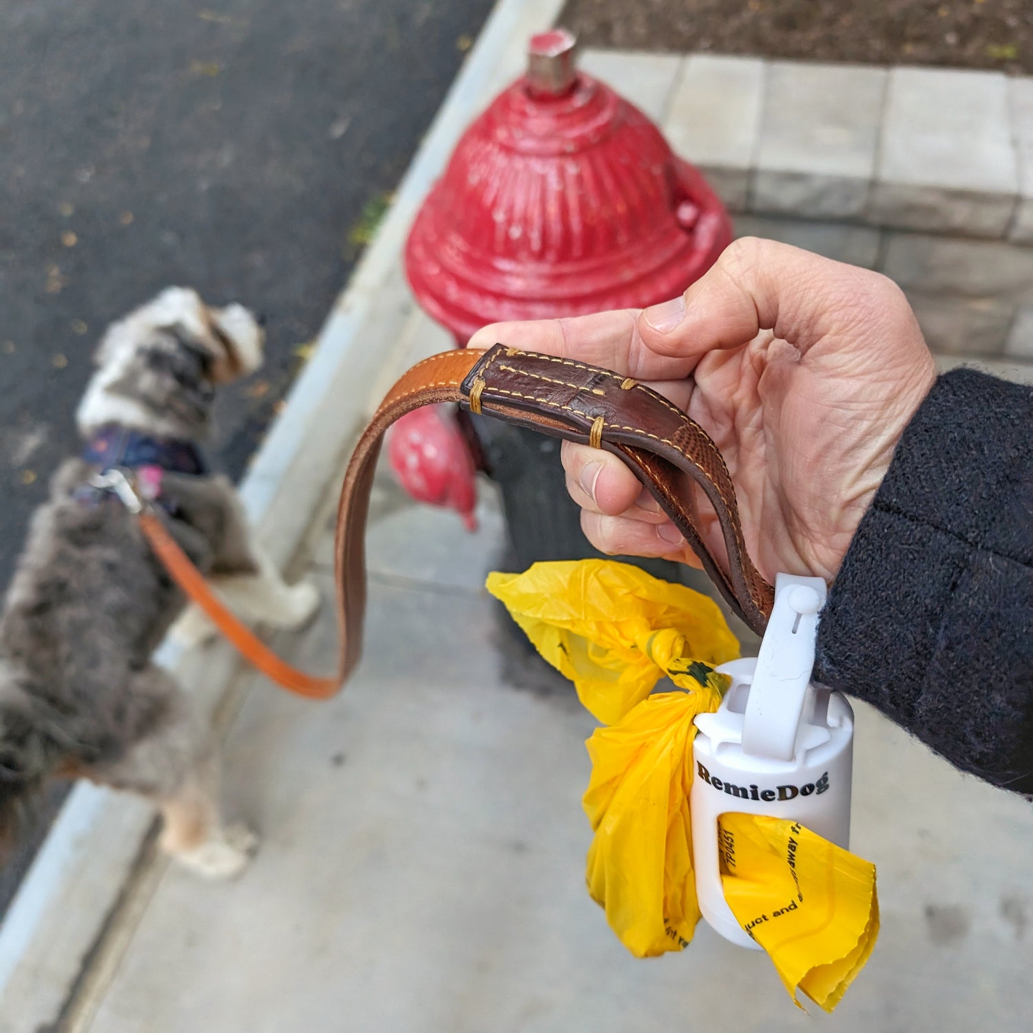 poop bag pouch