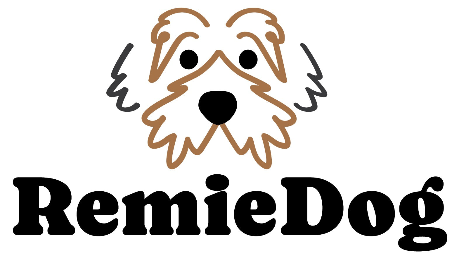 Load video: video showing family designing and 3d printing dog products in their small apartment while a dog watches