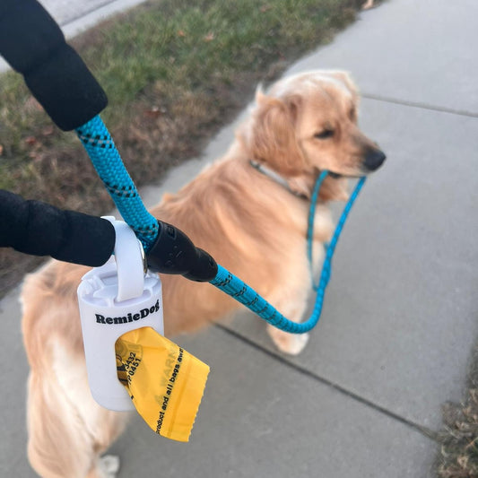 Golden retriever walking on leash with RemieDog poop bag holder and compostable bags