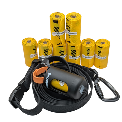 Hands-Free Walk Kit