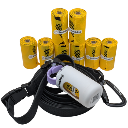 Hands-Free Walk Kit