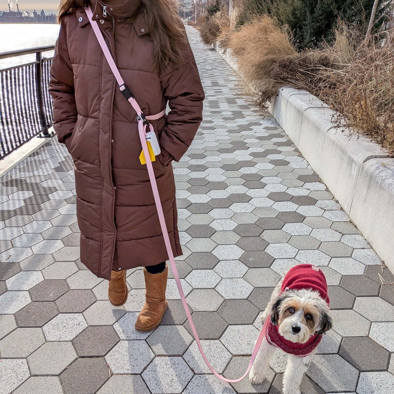 person walking an aussiedoodle using remiedogs cross body leash